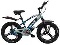 Vélo pour enfants 16 pouces, roue en alliage de magnésium monobloc, cadre en acier, frein à disque, selle réglable, vélo avant