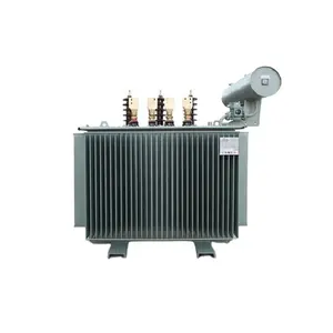 100KVA 200KVA 300KVA Oil Immersed Electrical Power Distribution Transformer with Tap Changer Oil Tank Copper Winding
