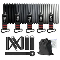 CHENGMO SPORTS Ensemble de 11 Bandes de Résistance avec Barre d'Exercice, Kit Barre de Pilates, Bandes Élastiques d'Entraînement avec Poignées et Ancre de Porte