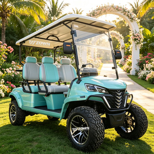 Voiturette de golf électrique personnalisée tendance, choix de styles visuels variés, pour boutiques, sites touristiques, manoirs, expédition en gros - Product Image 1