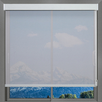Persiana enrollable semioscura de poliéster duradero con control eléctrico manual y tamaño personalizado para decoración de ventanas interiores, ideal para bodas.
