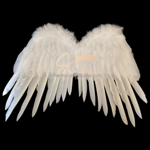 <span class=keywords><strong>Ali</strong></span> d'<span class=keywords><strong>Angelo</strong></span> Decorative in <span class=keywords><strong>Piume</strong></span> Naturali Tinte per Feste di Bambini, Matrimoni, Costumi da Fata e Accessori per Travestimenti - Product Image 1