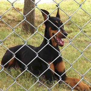 Trang trại ranh giới tường cổng mạ kẽm PVC-tráng kim loại hàng rào Cyclone lưới 3D mô hình xử lý nhiệt gỗ tất cả các vật liệu áp lực - Product Image 5