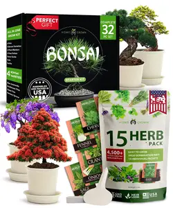 Kit de cultivo de plantas al por mayor Bonsai Tree Live Plant Bonsai Starter Kit y Heirloom Vegetal Gardening Gifts