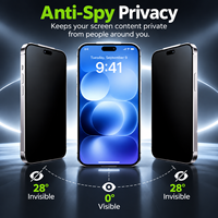Film de protection d'écran anti-espion 9H à couverture intégrale pour iPhone Duo X XS 11 12 13 14 15 16 17 E 18 Pro Max, verre trempé pour la confidentialité