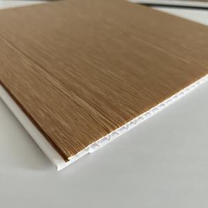 Panel de techo de plástico, 25-30 CPPVpanel iiiievevevevevevevevevev - Product Image 2