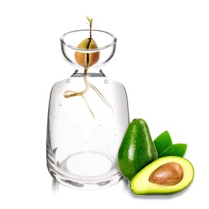 Jarrón de dos piezas para germinar semillas de aguacate - Cultive su propio árbol de aguacate. Maceta de vidrio única para amantes de la jardinería. Comience su cultivo. - Product Image 6