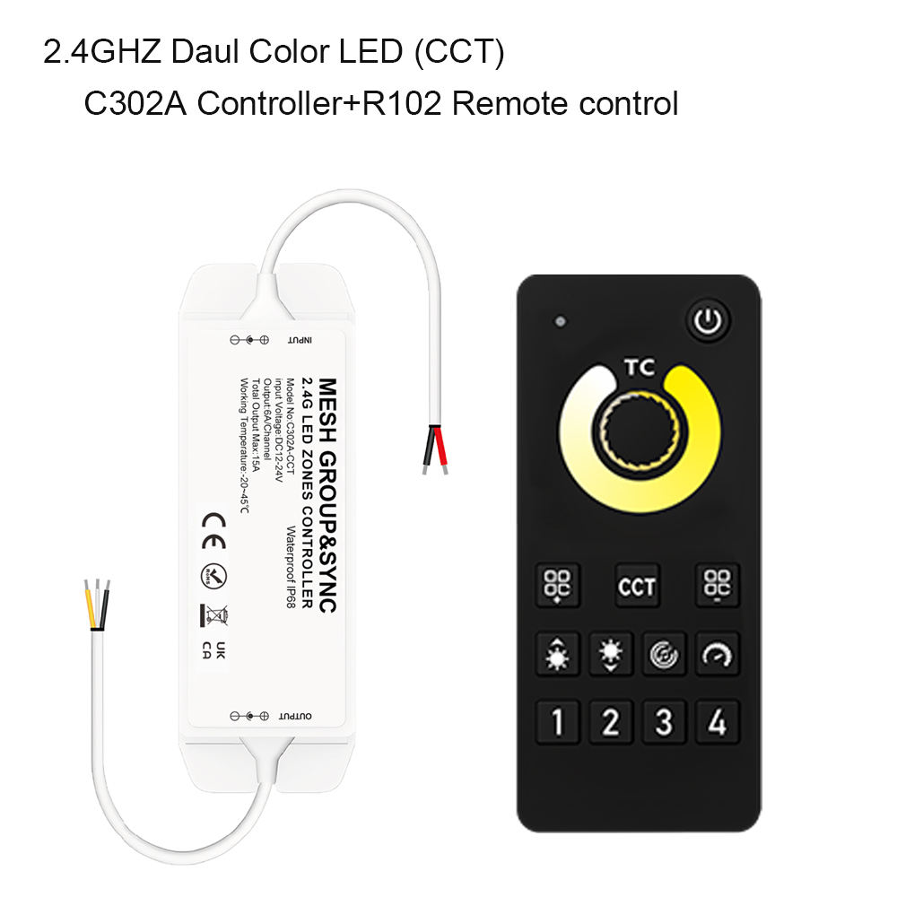 CCT IP68 Controller With Remote