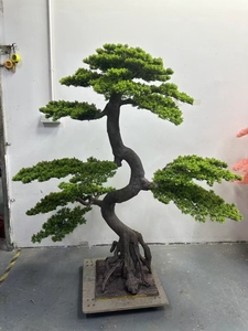 Venta al por mayor de pino falso y árbol de cedro falso de ciprés árbol artificial para decoración de escaleras interiores - Product Image 6