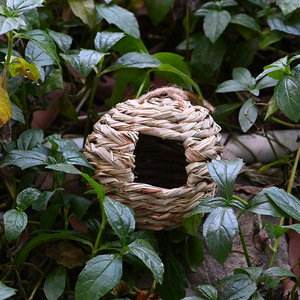 Nid d'oiseau rond tissé à la main en herbe, finition naturelle, suspendu, pour jardin extérieur, taille moyenne, pour oiseaux - Product Image 4