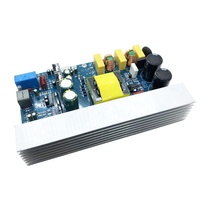 Carte d'amplificateur mono classe D 1000W, amplificateur numérique haute puissance 1000W avec alimentation à découpage intégrée, carte audio DIY