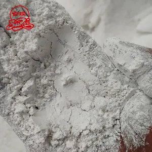 Fabricant de chaux hydratée 95% pureté pour peinture - Product Image 1