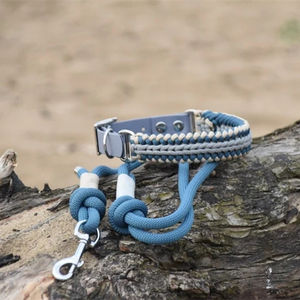 Özel naylon halat eğitim kayma kurşun köpek tasma paracord örgülü köpek tasması coleira <span class=keywords><strong>pet</strong></span> coleiras peitoral para pit bull - Product Image 4