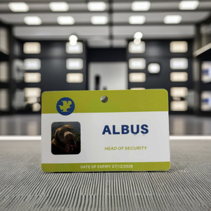 Customized PVC Plastic Business <b>Card</b> with Digital Printing Punch Hole and Unique Shape for <b>Access</b> <b>Control</b> Membership Label - Product Image 2