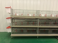 Kandang Ayam Pedaging 3 Tingkat Profesional untuk Peternakan Unggas Kecil dan Menengah dengan Layanan Desain Khusus