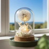Lampu Malam Kubah Kaca Bunga Dandelion Abadi, Hiasan Meja Bunga Kering Awet Buatan Tangan 6x15cm, Hadiah