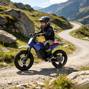 Motor de Tracción Media de 600W, 35 km/h, Alto Torque, Mayor Estabilidad - Product Image 6