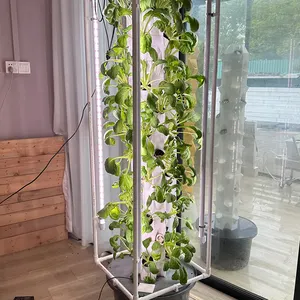 Torre del vassoio della coltura idroponica Aquaponics coltiva il sistema di coltivazione delle fragole da giardino coltivano torri verticali che piantano la torre idroponica