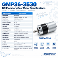 Moteur à courant continu brossé à engrenages planétaires Tengli GMP36-3530 36 mm, 5-1000 tr/min, rapport 4-1000, boîte de vitesses métallique pour actionneur de serrure intelligente