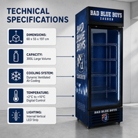 Réfrigérateur vertical pour boissons avec refroidissement par compresseur et thermostat mécanique, porte coulissante en verre, réfrigérateur en métal pour boissons froides