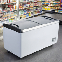 Fonction de congélation rapide à ouverture supérieure Armoire à crème glacée Coffre de supermarché Congélateur horizontal avec porte en verre