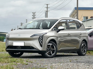 2025 pour <span class=keywords><strong>AION</strong></span> Y Plus 610 km Version 610 Zhixiang - Product Image 3
