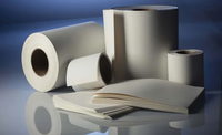 MASIGNS Rouleaux de papier pour affiches en polypropylène à jet d'encre Eco Solvant Imprimables Imperméable PP Synthétique