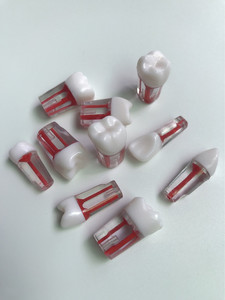 ฟันซินเต็มฟันรากฟันเทียม - Product Image 2