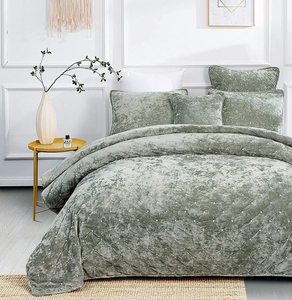 2024 nuovo stile trapunta per l'inverno caldo velluto 100% poliestere posteriore con doppio <span class=keywords><strong>copriletto</strong></span> <span class=keywords><strong>singolo</strong></span> in microfibra - Product Image 6