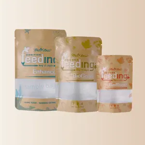 कस्टम मुद्रित biodegradable खिड़की के साथ क्राफ्ट पेपर खाद्य पैकेजिंग बैग खड़े हो जाओ