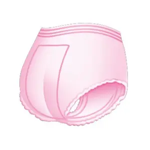 Kafurou Feminine Care Free Feminine Hygiene Product Samples Period Pants for Women Peach Type Panty Style Sanitary Napkin