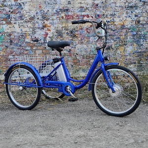 Usine 3 Roues Vélo Électrique 350W Moteur 36V Batterie Tricycles Électriques pour Adultes - Product Image 5