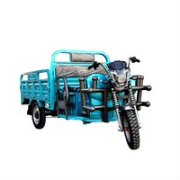 800W 48V60v tricycle de fret électrique 1.2 plaque d'acier épaisse