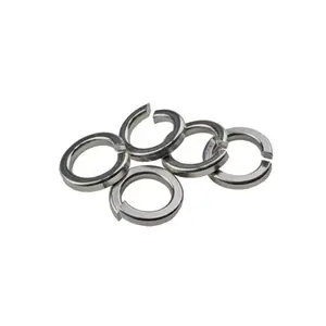 Roestvrij Steel316 304 Din127b Lock Spring Ring