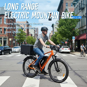 Chamrider DM427 Vélo électrique en gros, batterie lithium 48V 27Ah, vélo cargo électrique pour livraison de repas - Product Image 1