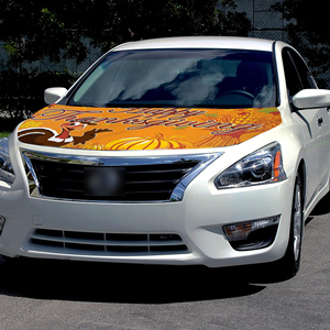 Housse de capot de voiture personnalisée 5x4 pieds, drapeaux pour le Jour de Thanksgiving et les événements sportifs, adaptée à la plupart des voitures, meilleur cadeau, housse de capot - Product Image 3