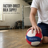 Ballon de volley-ball sur mesure taille 5 bleu blanc rouge en PU souple thermocollé 260-280g OEM Vente en gros Qualité stable Fabricant