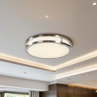 2025 Moderne LED Plafonnier 24W Surface Monté En Plastique Couverture Base En Acier IP44 Étanche 3500K Blanc Chaud CRI90 Éclairage