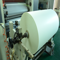 Film de transfert thermique haute performance pour sérigraphie sur vêtements (T-shirts) – Tailles personnalisées disponibles