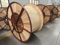 Câble d'alimentation à âme en cuivre 3*50mm² XLPE/PVC/SWA, directement de l'usine, prise en charge de la personnalisation OEM/ODM