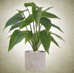 <span class=keywords><strong>Pot</strong></span> de plante artificielle en papier Mkono 11 pouces pour la décoration intérieure de la maison et du bureau (gris, petit modèle) - Product Image 1