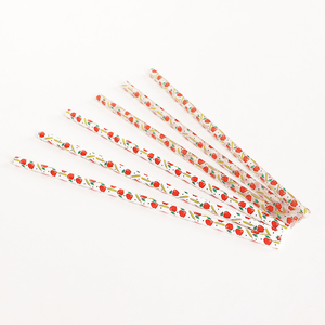 Tùy Chỉnh Ưa Thích Tái Sử Dụng 10Mm Đường Kính Nhựa Cứng Ống Hút Táo Và Bút Chì In Uống Ống Hút - Product Image 3