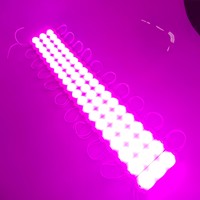 DC12V 24V LED Module Décoratif Rétro-Éclairage Source De Lumière IP67 SMD3030 2835SMD pour Signe Boîte Canal Lettre Signe