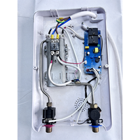 Chauffe-eau électrique instantané sans réservoir portable pour toute la maison, 3,5 kW-7 kW, pour baignoires et douches