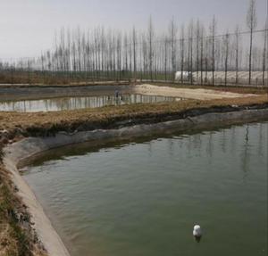 Testeur de fuite de revêtement d'étang EPDM géomembrane HDPE pour revêtement HDPE