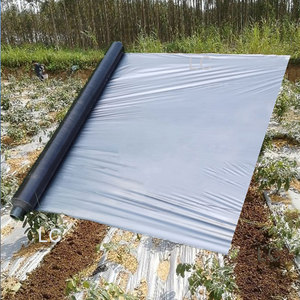 <span class=keywords><strong>Film</strong></span> Pacciamante Agricolo in PE da 30 Micron Argento/Nero Anti-Erba per Coltivazione Fragole e Cipolle - Product Image 1