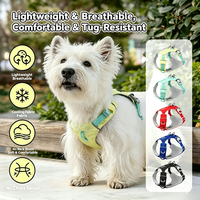 Harnais léger pour chien d'extérieur avec poche pour traceur intelligent, sangle de poitrine anti-étranglement, étanche, réfléchissant, respirant, avec boucle