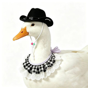Yisi - Combo de Gorro y Babero de Vaquero Occidental para Mascotas, Pañuelo Universal para Perros y Gatos, para Todas las Estaciones, Diseño Sólido - Product Image 2