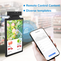 Etiqueta de Precio Electrónica LCD MinewTag, Pantalla a Todo Color, Etiquetas Inteligentes para Estantes, Pantalla LCD para Tiendas de Productos Frescos, Supermercados