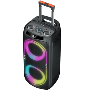 Caja de Subwoofer de 8 Pulgadas Amplificada con Luces LED de Colores Intermitentes, Altavoz de Plástico Profesional Tipo <span class=keywords><strong>Boombox</strong></span> 3 - Product Image 6